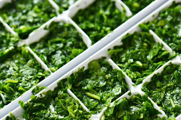 Parsley in freezer box — Stock Photo, Image