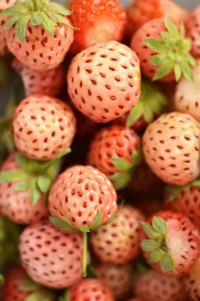 Close up of pineberry — Stock Photo, Image