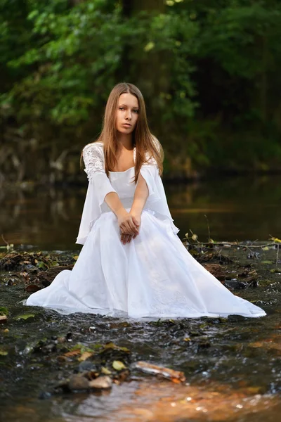 Retrato de novia hermosa —  Fotos de Stock