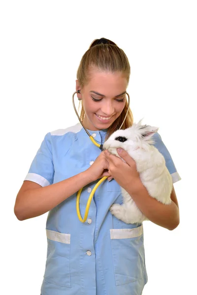 Smiling vet holding up and examining cute white rabbit — Stock Photo, Image