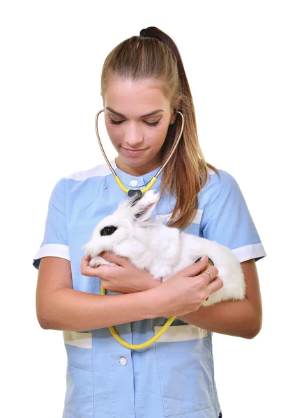 Veterinário sorrindo segurando e examinando coelho branco bonito — Fotografia de Stock