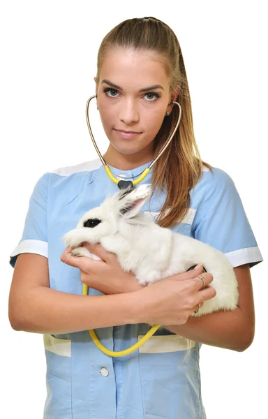 Smiling vet holding up and examining cute white rabbit — Stock Photo, Image