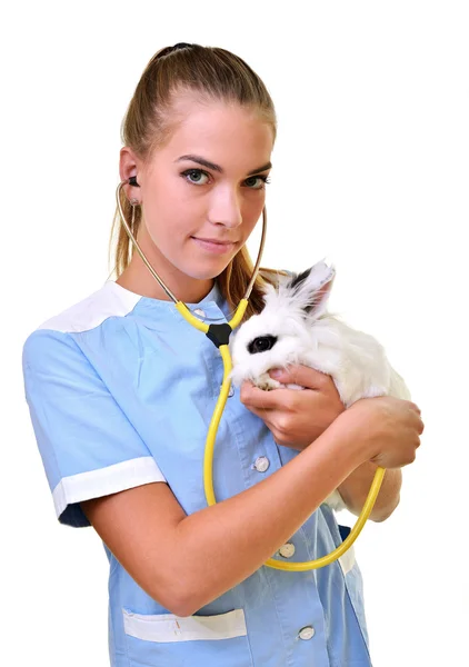 Veterinário sorrindo segurando e examinando coelho branco bonito — Fotografia de Stock