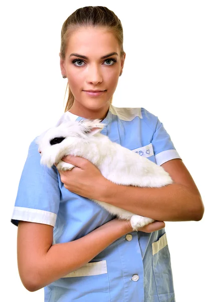 Veterinário sorrindo segurando e examinando coelho branco bonito — Fotografia de Stock