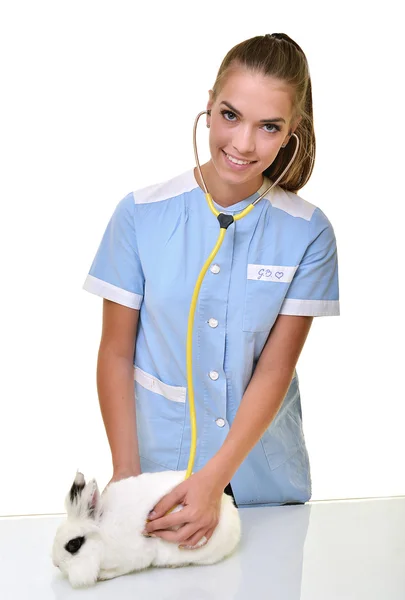 Veterinário sorrindo segurando e examinando coelho branco bonito — Fotografia de Stock