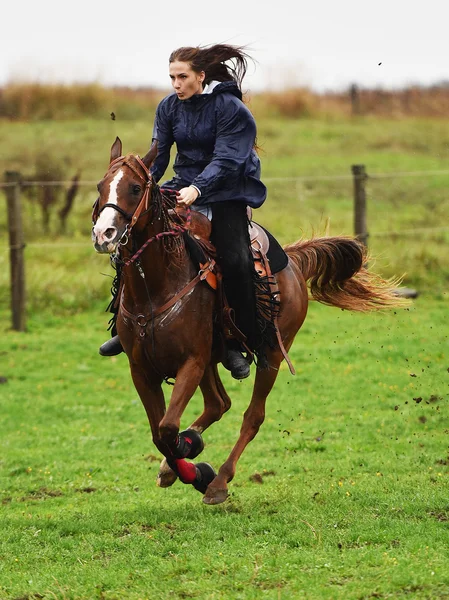 Chica montando un caballo —  Fotos de Stock
