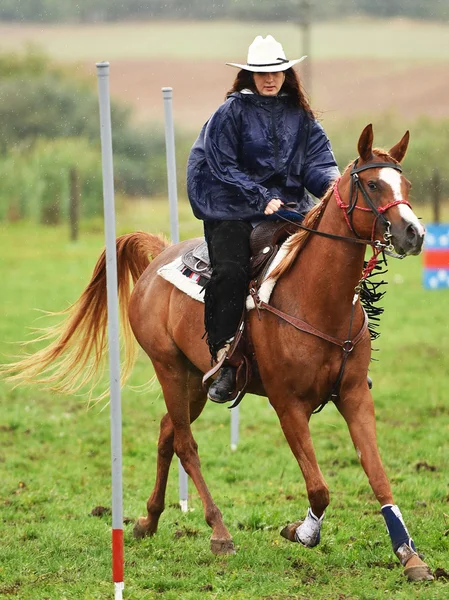 Flicka ridning en häst — Stockfoto