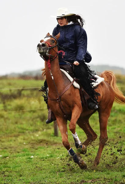 Flicka ridning en häst — Stockfoto