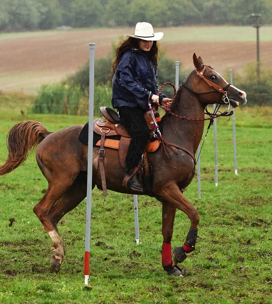 Menina montando um cavalo — Fotografia de Stock