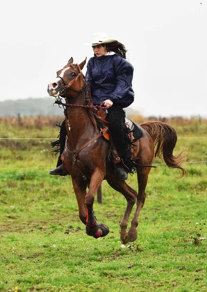 骑着马的女孩 — 图库照片