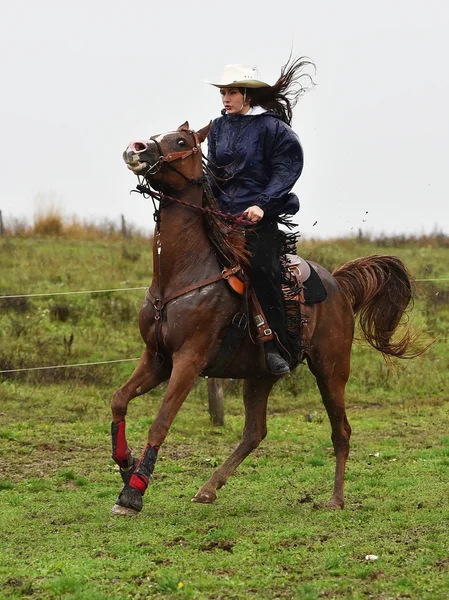 Menina montando um cavalo — Fotografia de Stock