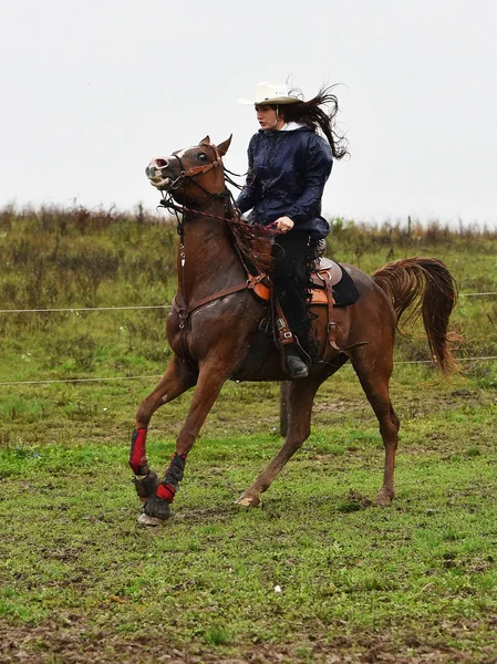 Fille monter un cheval — Photo