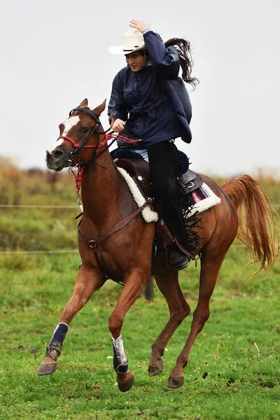 Flicka ridning en häst — Stockfoto