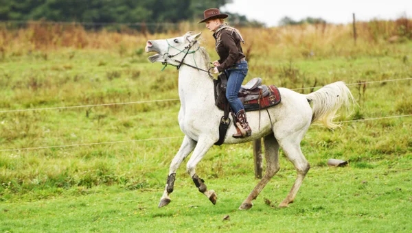 Vaquera en una carrera de barril en un rodeo. —  Fotos de Stock