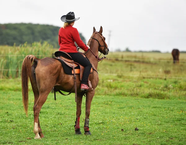 Cowgirl bir rodeo bir varil yarışta. — Stok fotoğraf