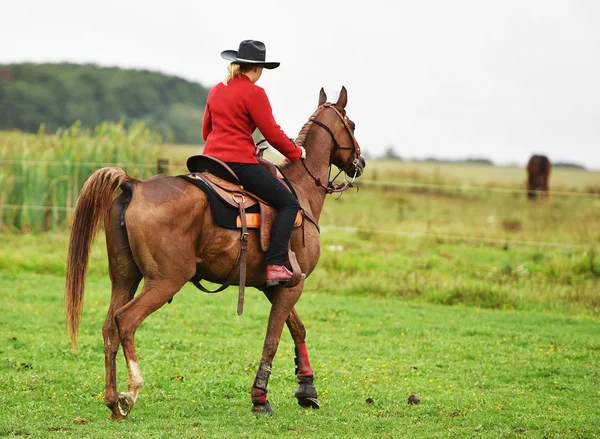 Cowgirl w wyścigu baryłkę na rodeo. — Zdjęcie stockowe