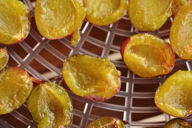 Kış için kurutulmuş Erik