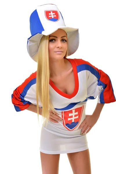 Güzel Slovakça fan — Stok fotoğraf