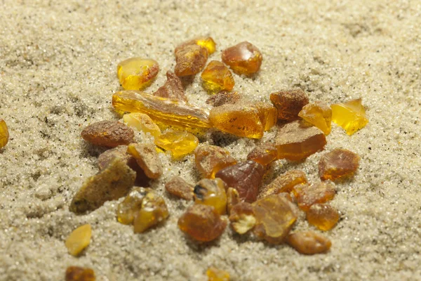 Raw amber — Stock Photo, Image