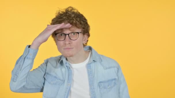 Ψάχνοντας Redhead νεαρός άνδρας ψάχνει για την ευκαιρία, κίτρινο φόντο — Αρχείο Βίντεο