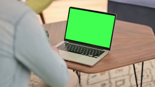 Achteraanzicht van de mens werkend op laptop met chroma scherm — Stockvideo