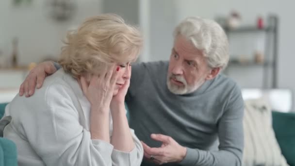 Man Trying to Calm Down Crying Caucasian Woman, Couple — Stock Video