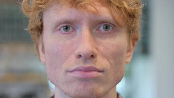 Närbild, ansikte rödhårig ung man tittar på kameran — Stockfoto