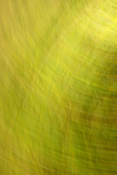 Wazig gekleurde achtergrond met een overwicht van groene zomer kleur — Stockfoto