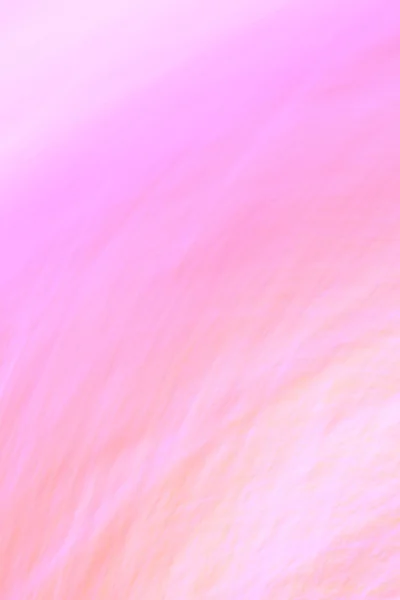 Fundo colorido abstrato bonito com foco suave e predominância de rosa — Fotografia de Stock