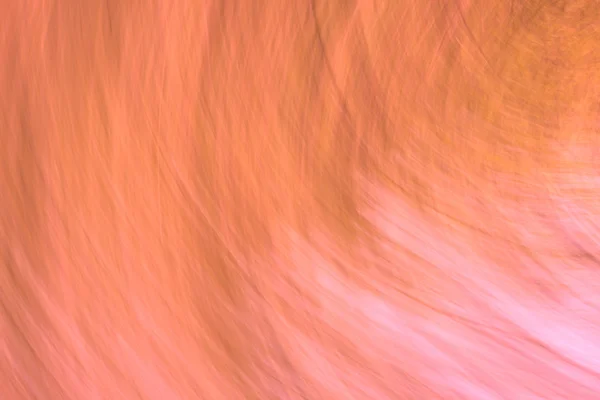 软焦点与占主导地位的粉红色美丽抽象彩色背景 — 图库照片