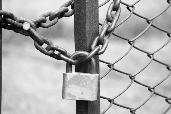 demir çit bir bağlantıyla zinciri-eskrim, siyah beyaz fotoğraf üzerinde demir asma kilit