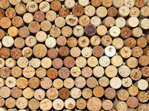 Fondo de corchos de vino usados, pared de muchos corchos de vino diferentes primer plano — Foto de Stock