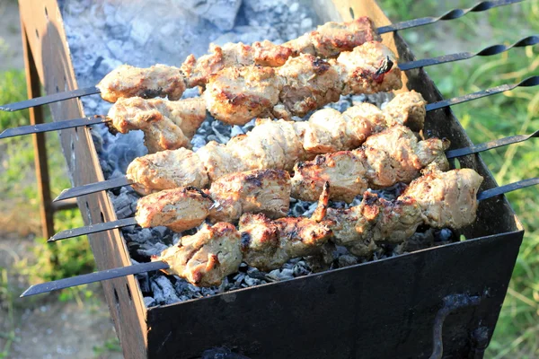 Griller shashlik sur barbecue grill — Photo