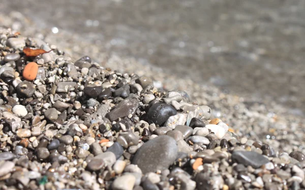 Wet pebble stones on the beach closeup — Stock Photo, Image