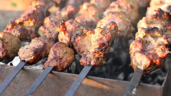 Izgara closeup döşeme shashlick