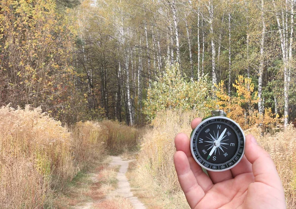 round compass in hand on autumn birch forest background as symbol of tourism with compass, travel with compass and outdoor activities with compass in autumn