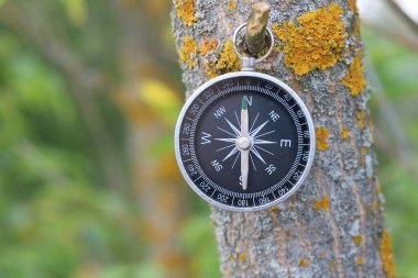 Pusula ile turizmin sembolü olarak doğal arka planda klasik navigasyon pusulası, pusula ile seyahat ve pusula ile açık hava aktiviteleri