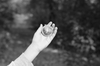 Pusula ile turizmin, pusula ile seyahat etmenin ve pusula ile açık hava aktivitelerinin sembolü olarak, doğal arka planda eski klasik navigasyon pusulası bulunmakta