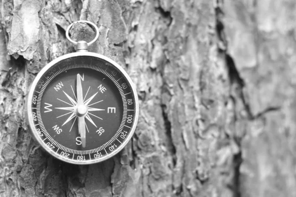 Rund Kompass Naturlig Trä Bakgrund Som Symbol För Turism Med — Stockfoto