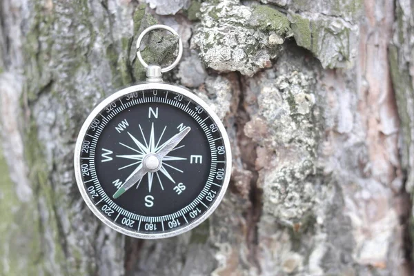 Boussole Ronde Sur Fond Bois Naturel Comme Symbole Tourisme Avec — Photo