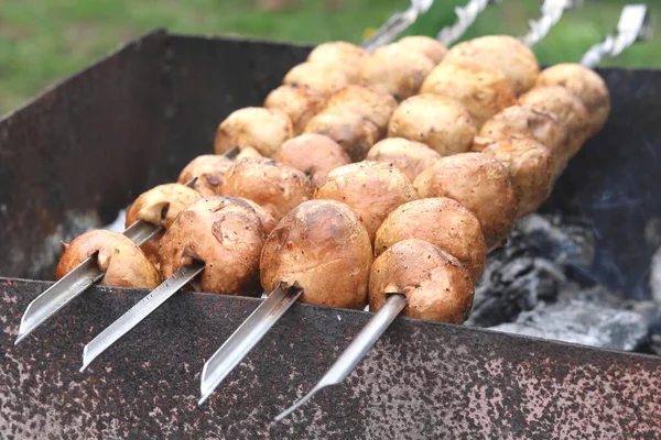 Comida Vegetariana Feita Partir Deliciosos Cogumelos Cozidos Com Espetos Carvão — Fotografia de Stock