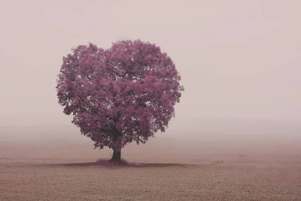 Abstract tree with heart outlines on foggy background