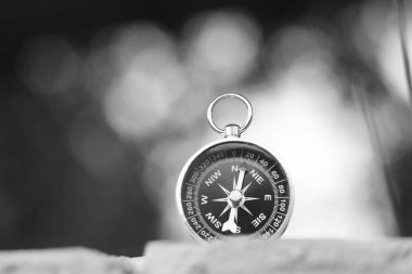 Pusula ile turizmin sembolü olarak doğal arka planda klasik navigasyon pusulası, pusula ile seyahat ve pusula ile açık hava aktiviteleri