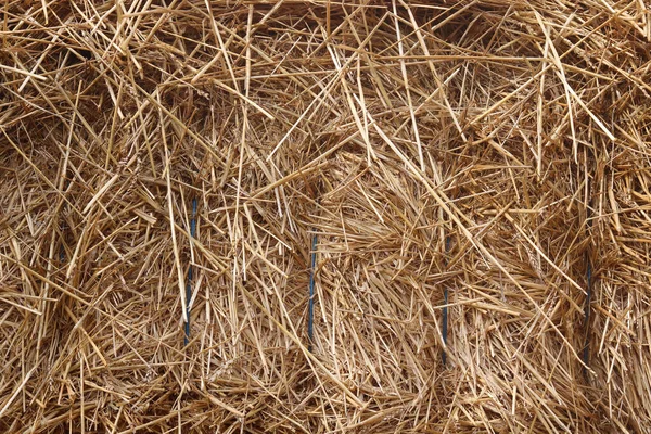 Natuurlijke Gouden Achtergrond Met Stro Hooiberg — Stockfoto