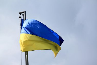 rüzgarda sallayarak Ukrayna bayrağı
