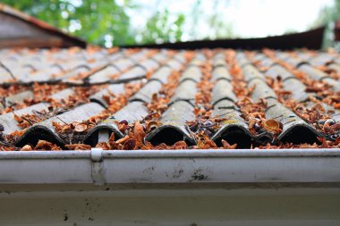 Sonbahar yaprakları bir çatı üzerinde bir sürü