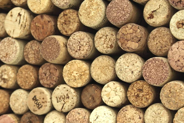 Muitas rolhas de vinho diferentes no fundo — Fotografia de Stock
