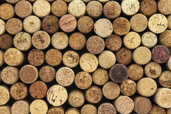 Many different wine corks in the background — Stock Photo, Image