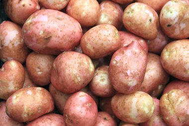 desen doku ve arka plan için genç taze patates