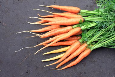 doğal zemin üzerine kuyrukları ile taze çiğ havuç